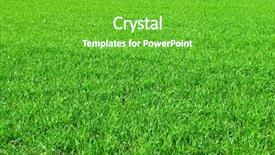  Presentation with green lawn - Beautiful presentation featuring wet area - beautiful green lawn freshly mowed backdrop and a shamrock green colored foreground