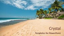  Presentation with palm beach - Cool new presentation with wet area - tropical sandy beach with palm backdrop and a lemonade colored foreground