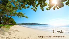  Presentation with south beach - Slides consisting of wet area - tropical sandy beach with trees background and a lemonade colored foreground