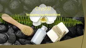  Presentation with fern - Amazing slide set having wet black stones background backdrop and a tawny brown colored foreground