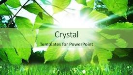  Presentation with grass - Cool new presentation with wet grass in sunny morning backdrop and a mint green colored foreground