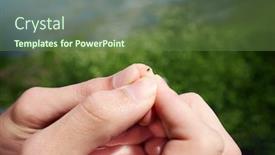  Presentation with hands holding - Presentation theme with wet-hands-holding-the-stinger background and a tawny brown colored foreground