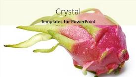  Presentation with pitaya - Colorful PPT theme enhanced with wet-pitaya backdrop and a blonde colored foreground