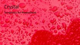  Presentation with rain water - Cool new presentation theme with wet seal - rain droplets of rain backdrop and a  colored foreground