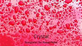  Presentation with rain water - Amazing presentation theme having wet seal - rain droplets of rain backdrop and a  colored foreground