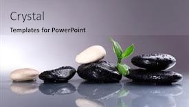  Presentation with spa stones leaves - Presentation theme with wet spa stones with green leaves on gray background background and a light gray colored foreground