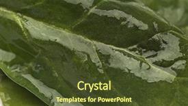  Presentation with spinach - Colorful theme enhanced with wet spinach leaf close-up backdrop and a tawny brown colored foreground