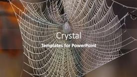  Presentation with web - Amazing PPT theme having forest halloween and autumn background backdrop and a gray colored foreground