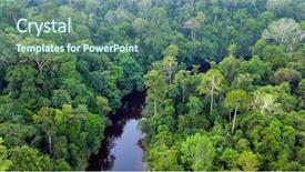  Presentation with negara - Colorful PPT theme enhanced with wet wild - aerial view of the taman backdrop and a ocean colored foreground