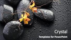  Presentation with zen stones - Audience pleasing PPT layouts consisting of wet zen spa stones over black backdrop and a dark gray colored foreground