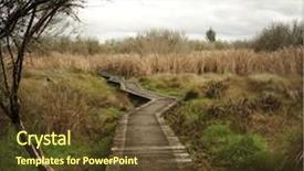  Presentation with new zealand - Audience pleasing slides consisting of wetland conservation - boardwalk in new zealand landscape backdrop and a  colored foreground