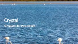  Presentation with monuments historiques france - PPT theme enhanced with wetland conservation - flamingos camargue provence france background and a teal colored foreground