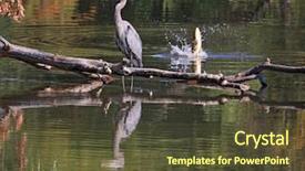  Presentation with annual day invitation card - Theme consisting of wetland conservation - great blue heron background and a tawny brown colored foreground