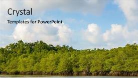  Presentation with wetland - Amazing theme having wetland conservation - mangrove on bintan island backdrop and a light blue colored foreground