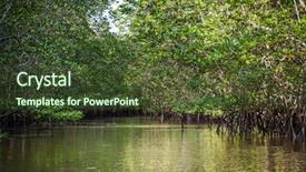  Presentation with indonesia - Theme with wetland conservation - mangrove on bintan island background and a tawny brown colored foreground