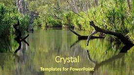  Presentation with national territory - Presentation theme having wetland conservation - trees with reflections leliyn edith background and a tawny brown colored foreground