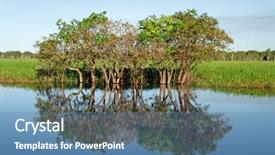  Presentation with national territory - Amazing PPT theme having wetland conservation - trees with reflections yellow water backdrop and a teal colored foreground