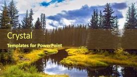  Presentation with dry forest - Presentation design featuring wetland-in-the-forest-rocky background and a tawny brown colored foreground