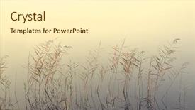  Presentation with fog - Colorful slide deck enhanced with honda motos - swampy lake in fog backdrop and a cream colored foreground