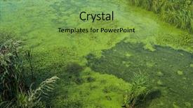  Presentation with marsh - Amazing slide deck having marsh - water with green algae backdrop and a seafoam green colored foreground