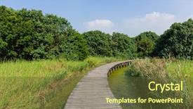  Presentation with wetland - Slides with pathway wild jungle - wetland background and a tawny brown colored foreground