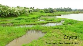  Presentation with wetland - Presentation design having mitigation - wetland background and a gold colored foreground