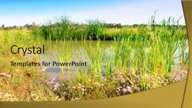  Presentation with marsh - Theme having groundwater - wetlands - marsh background and a yellow colored foreground