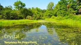  Presentation with wetlands - Audience pleasing theme consisting of wetlands-and-forest backdrop and a  colored foreground