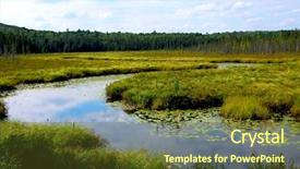  Presentation with wetland - PPT theme having wetlands landscape in algonquin provincial background and a tawny brown colored foreground