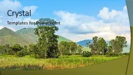  Presentation with wetlands - PPT theme featuring wetlands under the clear blue sky background and a light blue colored foreground