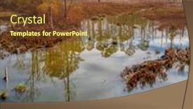  Presentation with wetlands - Amazing PPT theme having wetlands-with-fir-trees-reflected backdrop and a tawny brown colored foreground