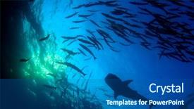  Presentation with whale - Amazing presentation design having whale shark swims through school backdrop and a ocean colored foreground