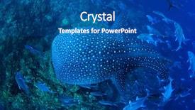  Presentation with shark - Slide set featuring whale shark whaleshark background and a ocean colored foreground