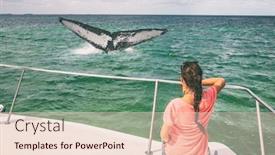  Presentation with flapping - Cool new presentation theme with whale-watching-boat-tour-tourist backdrop and a lemonade colored foreground