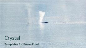  Presentation with breathing - Beautiful slide deck featuring whale watching cruise alaska tourist backdrop and a lemonade colored foreground