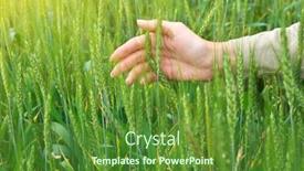  Presentation with element - Slide deck featuring wheat and the woman palms element of design background and a tawny brown colored foreground