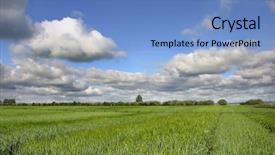  Presentation with siberia - Presentation having wheat breeding - barley field in siberia background and a  colored foreground
