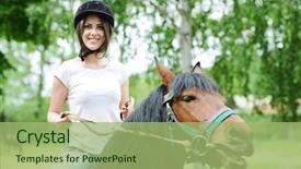  Presentation with horse riding - Slide set with bay and white horse grazing in the meadow national park torres del paine chile background and a violet colored foreground