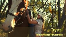  Presentation with warrior horse - Cool new slides with wheat breeding - beautiful girl straddling a horse backdrop and a  colored foreground