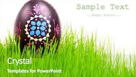  Presentation with breeding - Slide deck consisting of wheat breeding - easter egg in fresh spring background and a shamrock green colored foreground