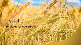  Presentation with ready - Slides with beautiful mountains lake river sky and natural attractions in ratchaprapha dam at khao sok national park surat thani province thailand background and a ocean colored foreground