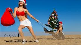  Presentation with tropical christmas - Cool new PPT theme with wheat breeding - sexy santa helper pulling santa backdrop and a coral colored foreground