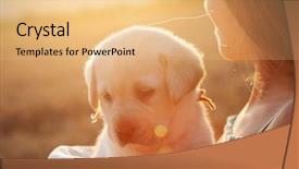  Presentation with dog cat sunset - Audience pleasing PPT layouts consisting of wheat breeding - young girl watching sunset holding backdrop and a lemonade colored foreground