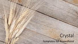  Presentation with wheat - PPT layouts enhanced with orval abbey in belgian ardennes background and a light blue colored foreground.