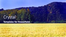  Presentation with crop - Slides having wheat crop with mountains behind background and a navy blue colored foreground