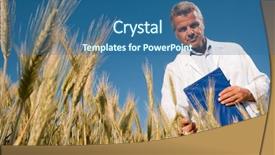  Presentation with quality control - Colorful PPT theme enhanced with wheat ear during a quality backdrop and a  colored foreground