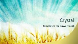  Presentation with blue sky at cook islands - Beautiful theme featuring wheat ears against the blue backdrop and a sky blue colored foreground