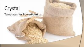  Presentation with grains - Slide deck featuring wheat ears and sack background and a white colored foreground