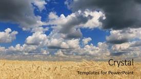  Presentation with blue sky - Audience pleasing slides consisting of wheat field against a blue backdrop and a coral colored foreground