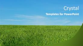  Presentation with wheat - Audience pleasing theme consisting of wheat-field-on-a-background backdrop and a teal colored foreground